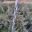 화백농장 이미지