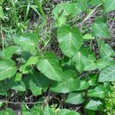 산내들농장 이미지