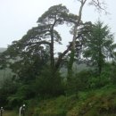 무릉도원면-27 이미지