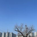 데꼴로레스주 이미지