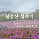 (주)동산실업 | 서울 가볼만한곳 불암산 철쭉동산 철쭉제 후기/ 주차 볼거리 준비물