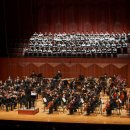 뽀꼬뽀꼬 이미지