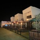 몽몽이애견 이미지