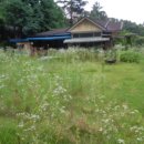 효촌2리 이미지