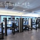 비비드 휘트니스 이미지