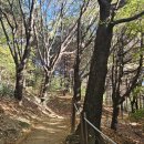 영장공원 이미지