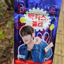 드림안경화서점 | 모든 게 다 꿈이었나 봐