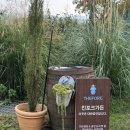 고선다락방 | 아이랑 정원카페 갈만한 곳 화성 더포레 베이커리 카페