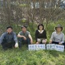 무궁화 정원 이미지