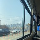 성미네생고기 이미지