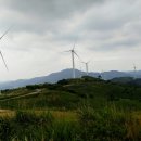 탐진농원 이미지