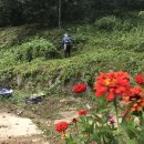 어전농장 이미지