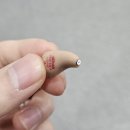 오티콘보청기(중랑점) 이미지