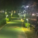 고고자매 이미지