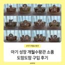 튼튼이 왕자님 아기 성장 개월수왕관 도맘도맘 구입 후기