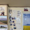 977 | 갈치조림 전문 ‘성산바다풍경 제주성산일출봉점’ 후기