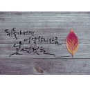 일상의 캘리그라피 이미지