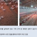 무항농장 이미지
