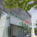 영종대로 | 영종도 화덕피자 맛집 쏠마레일피노 런치세트 후기