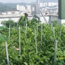 시흥1동 주민센터 이미지