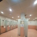 가평여행 | 캠프통아일랜드포레스트 C그라운드 준비물 및 이용후기