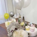 부산 강아지 24시 애견미용호텔유치원 도그드림(서면점) 이미지