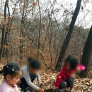 온숲어린이집 이미지