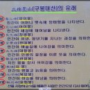 무릉도원면-11 이미지