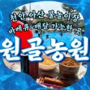 밤소리관광농원 이미지