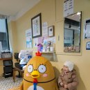 칼국수 한그릇 사동점 | [안산/사동] 상황삼계탕, 한양대에리카맛집으로 추천하는 가성비 보양식 후기