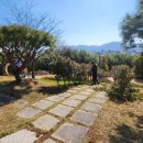 모란모란 이미지