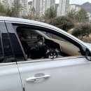 신대방동물메디컬 이미지