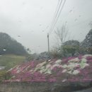 진보면 노래교실 이미지