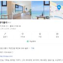 스테이올라 이미지