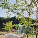 이건목장 이미지