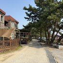 햇빛펜션 | 충남 보령 햇빛바다모래관광펜션 오션뷰 가족여행숙소 추천 및 후기