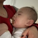 달이어린이집 | 어린이집 0세반 적응기간 한달 후기