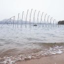 섬in섬 연홍미술관 이미지