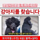 까미 이미지