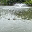 중앙공원.양지마을청구아파트 | [분당]2편 분당중앙공원,양지마을,파크뷰아파트 (with.준리치님)