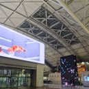 1701 | 마쓰야마 제주항공 탑승후기 7C1701 스카이허브 라운지