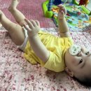 방이코끼리약국 이미지