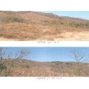 백운면 2040 이미지