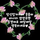 오늘같이좋은날 - 원주시 | 오늘같이좋은날