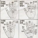 수지침 이미지