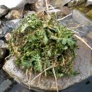 장수의 땅 그리고 이미지