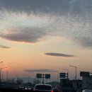 다가스모터스 이미지