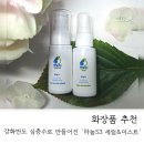 하늘S3