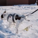 위례S동물의료센터 이미지