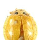노랑 이미지